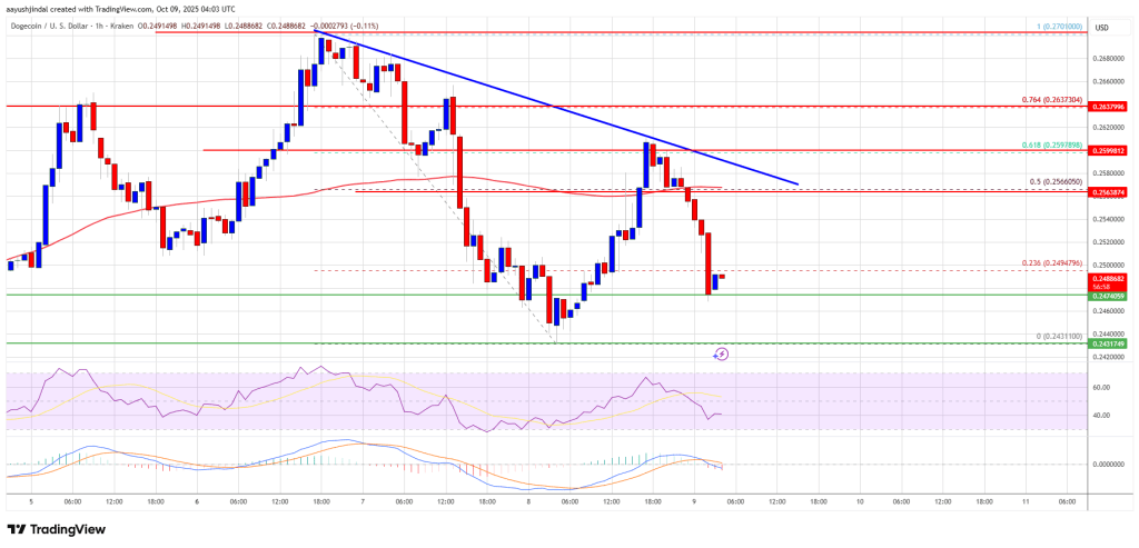 狗狗币(DOGE)再度下跌——下行风险大,多头需谨慎