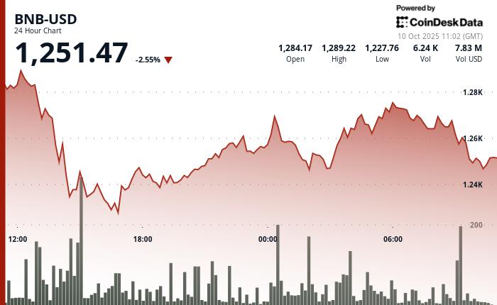 “分销力量:BNB 129% 涨幅与 Solana 2024 年的惊人表现”