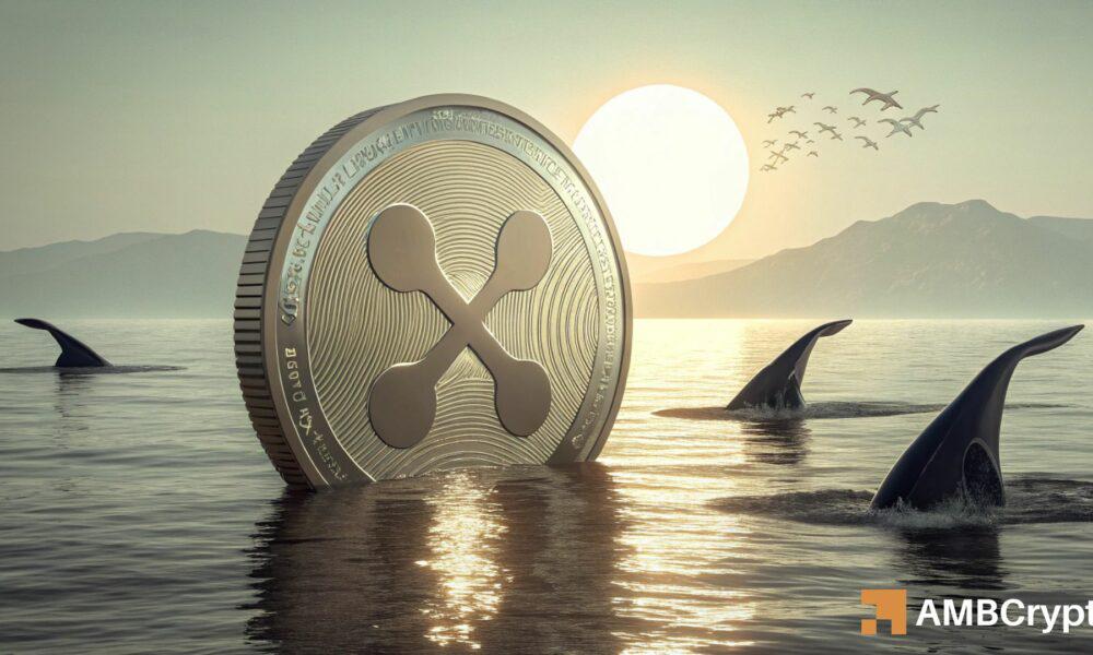 XRP价格已触底?链上数据如何解读