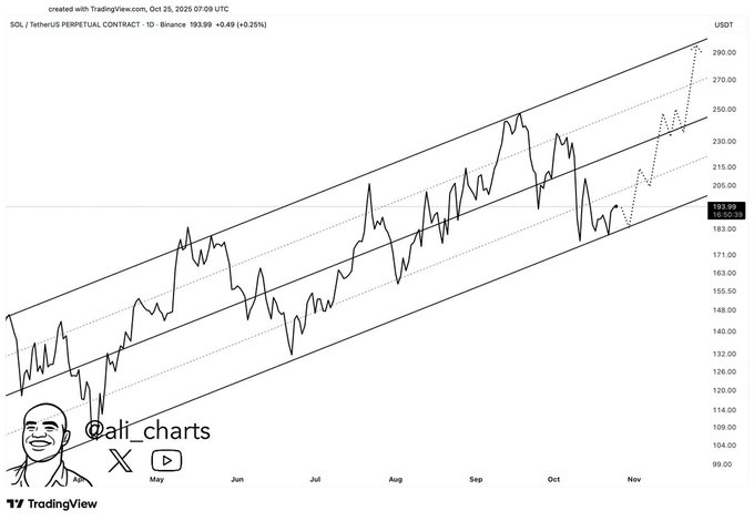 Solana多头仓位被清空,空头持仓达4700万美元,价格飙升至200美元