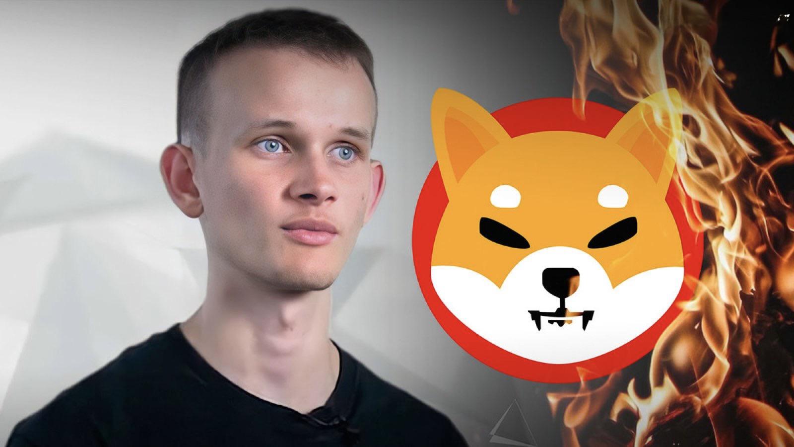 为什么 Vitalik Buterin 收到了 Shiba Inu 50% 的供应？他是创始人吗？
